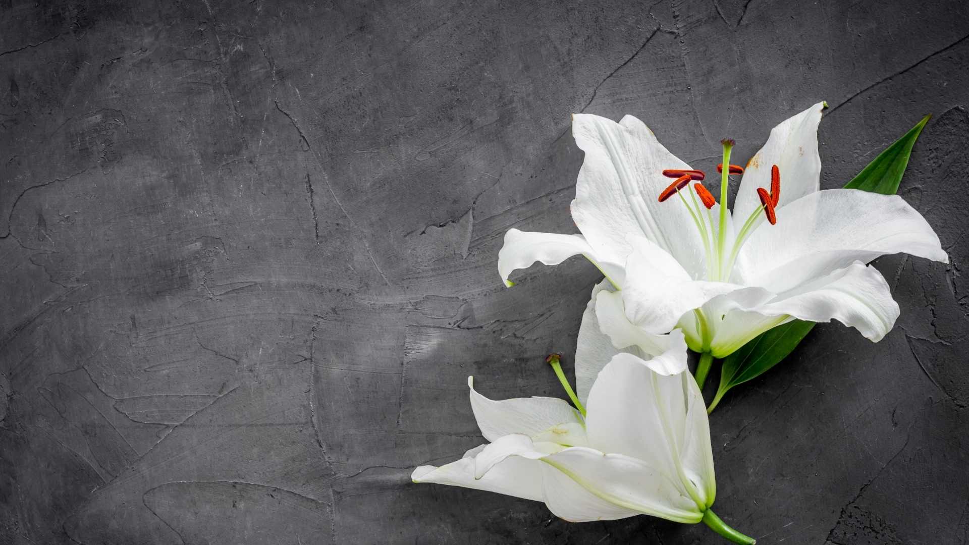 Funeral Insurance Canada