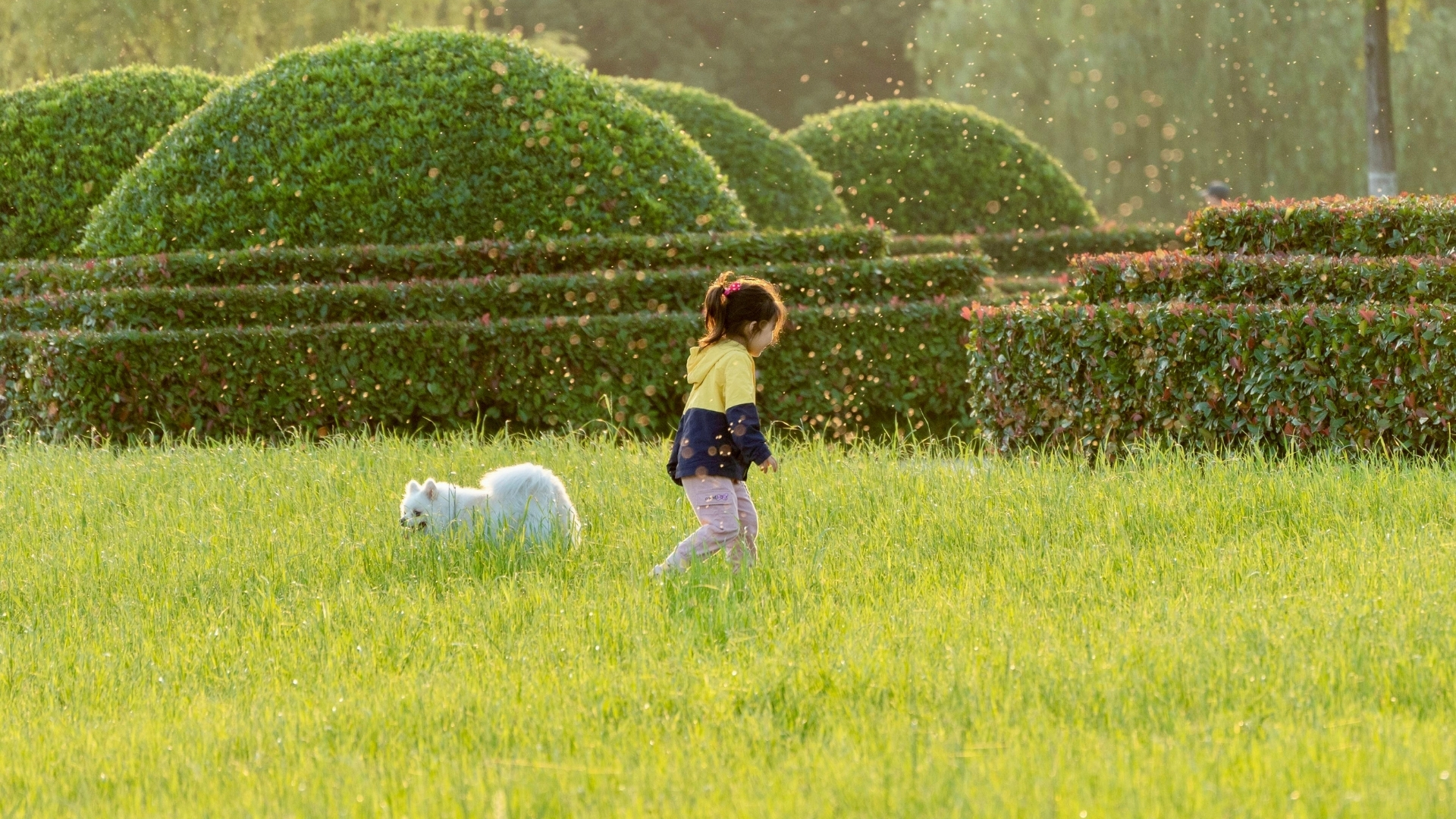 Whole Life Insurance for Children