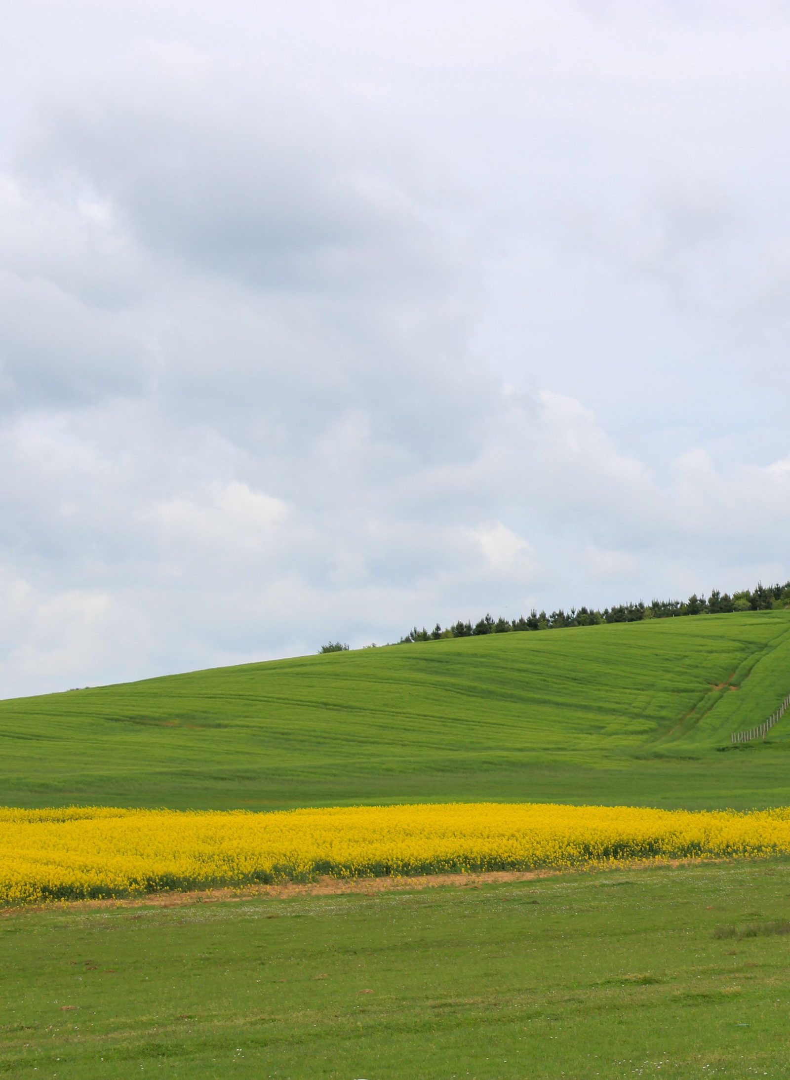 Estate Planning services for families and business owners in Medicine Hat, Alberta