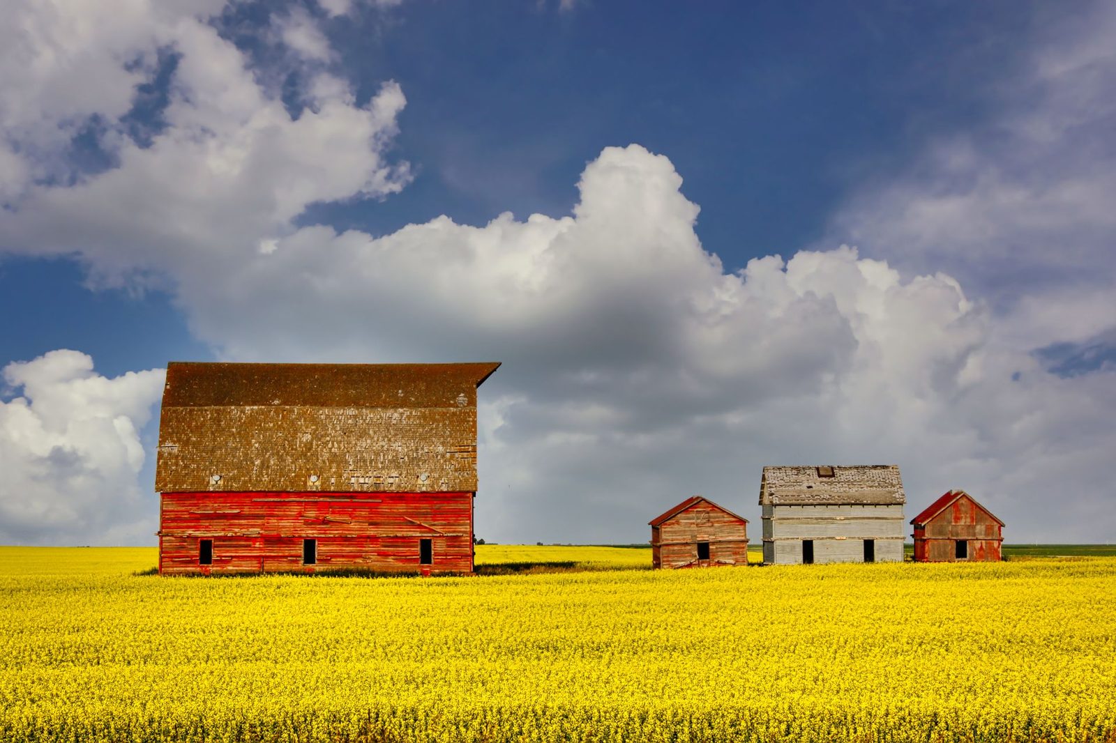 Wealth Management services for families and business owners in Lethbridge, Alberta