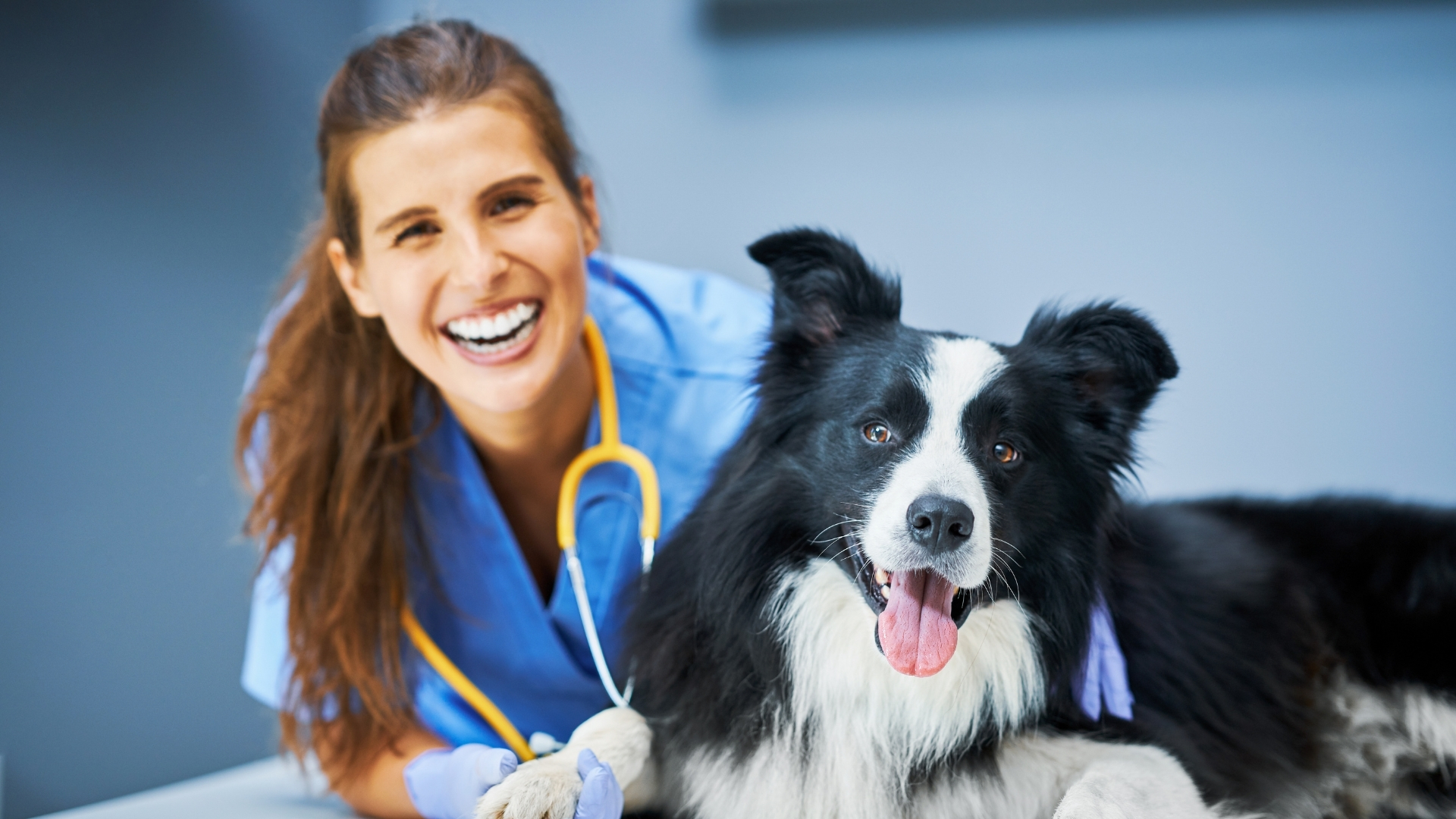 Veterinarians financial planning