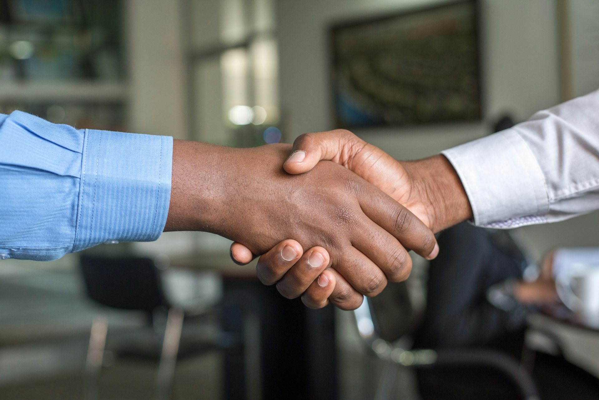 Veterinary job negotiation