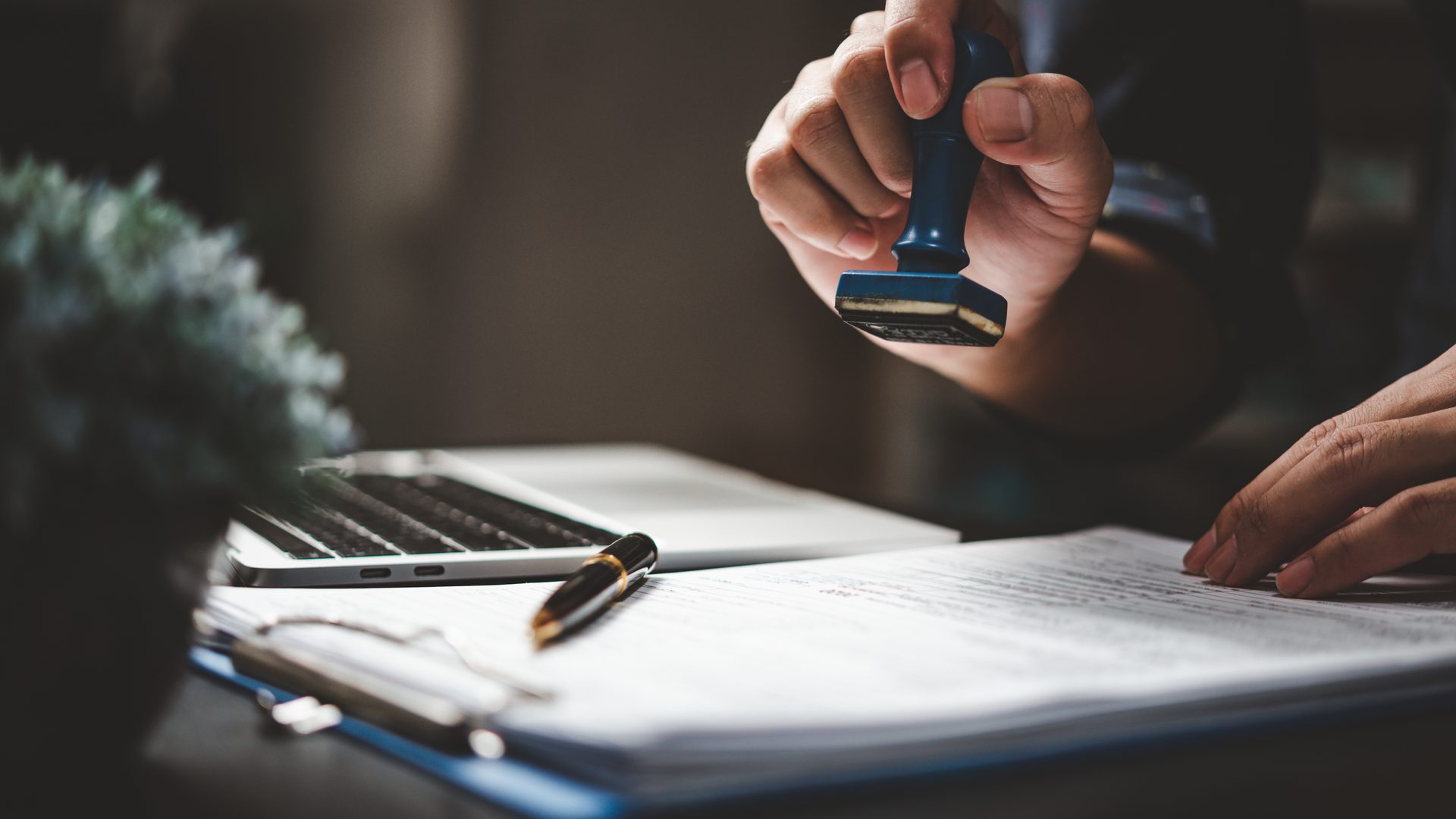 The Strategic Guide to a Holding Company for Your Law Practice in Canada