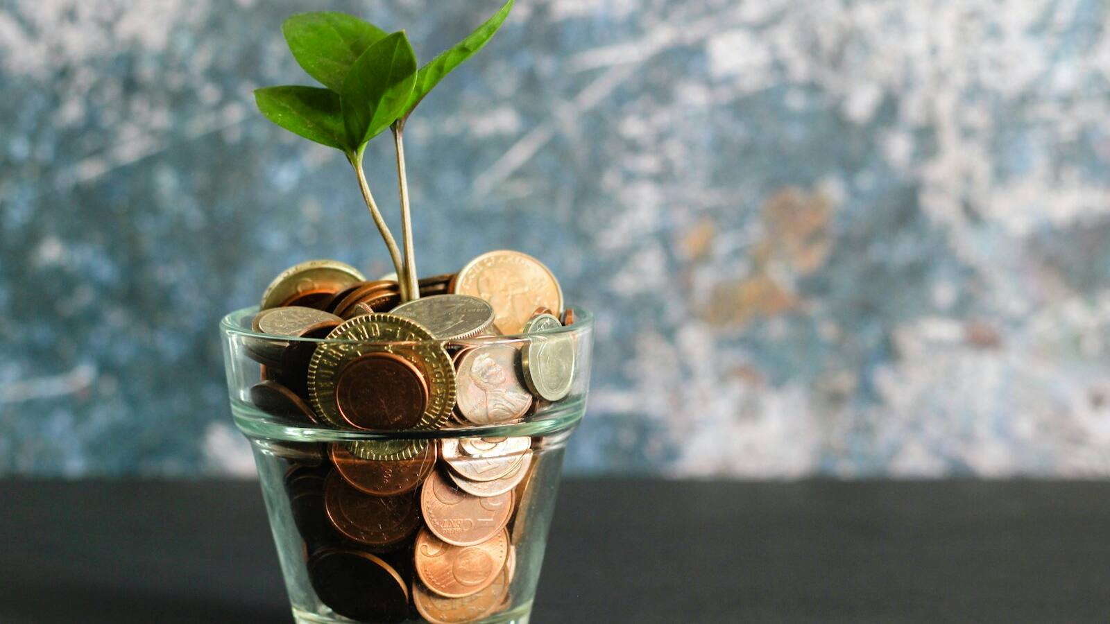 TFSA and RRSP for Transportation Business Owners