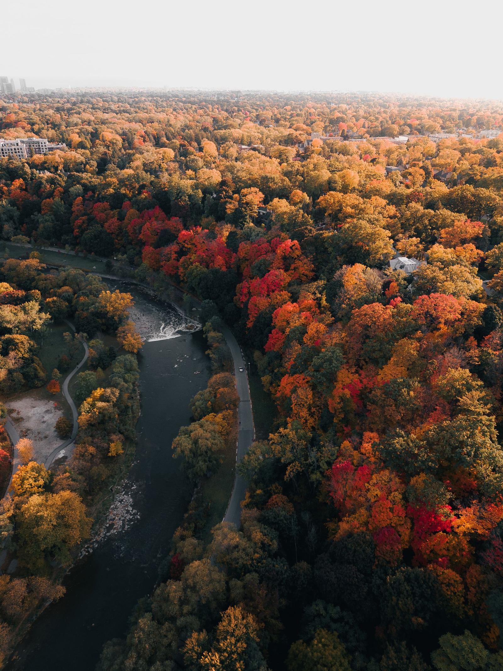 Financial planning and wealth management services in Oakville, Ontario