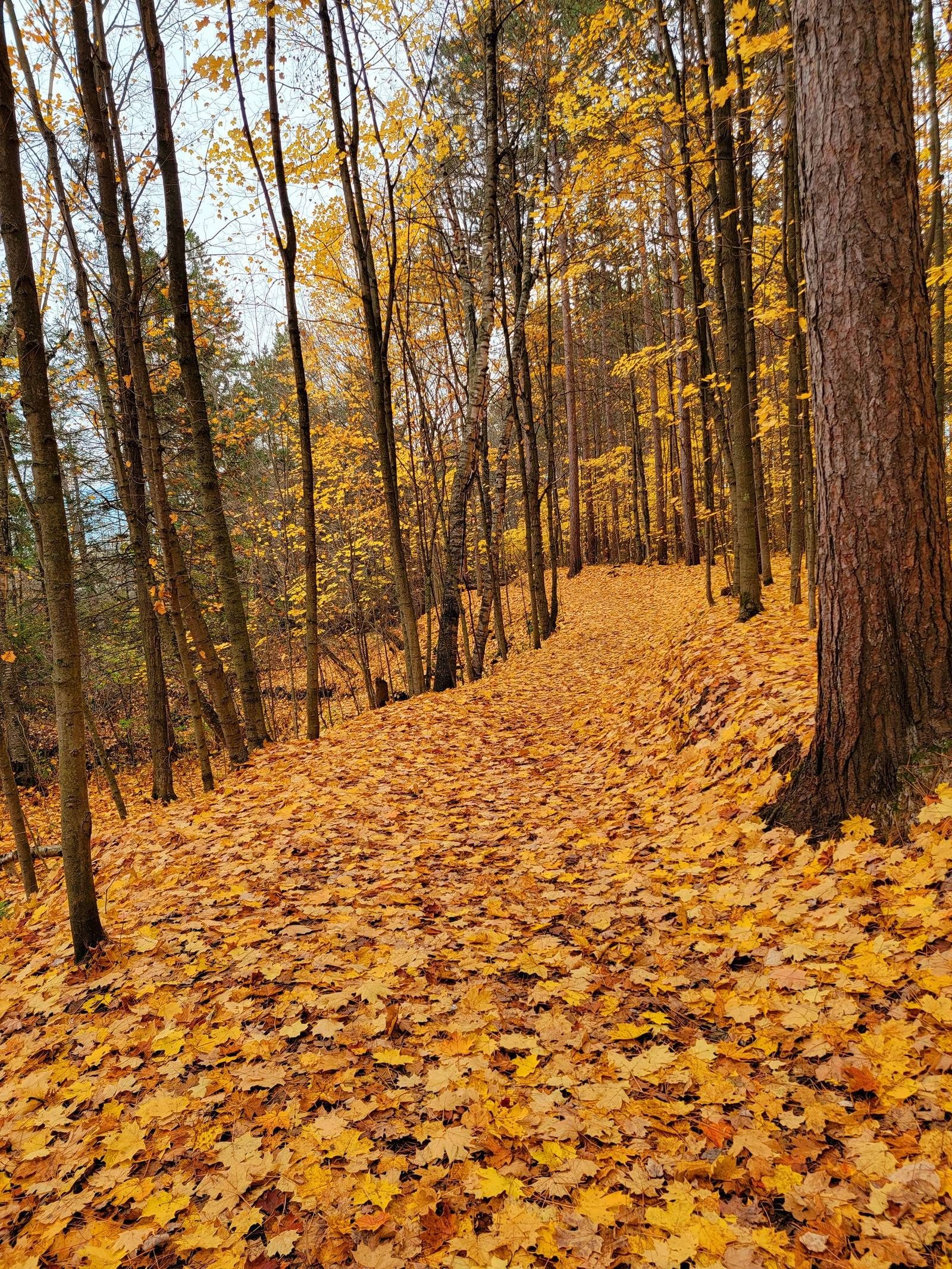 Financial planning and wealth management services in Hamilton, Ontario