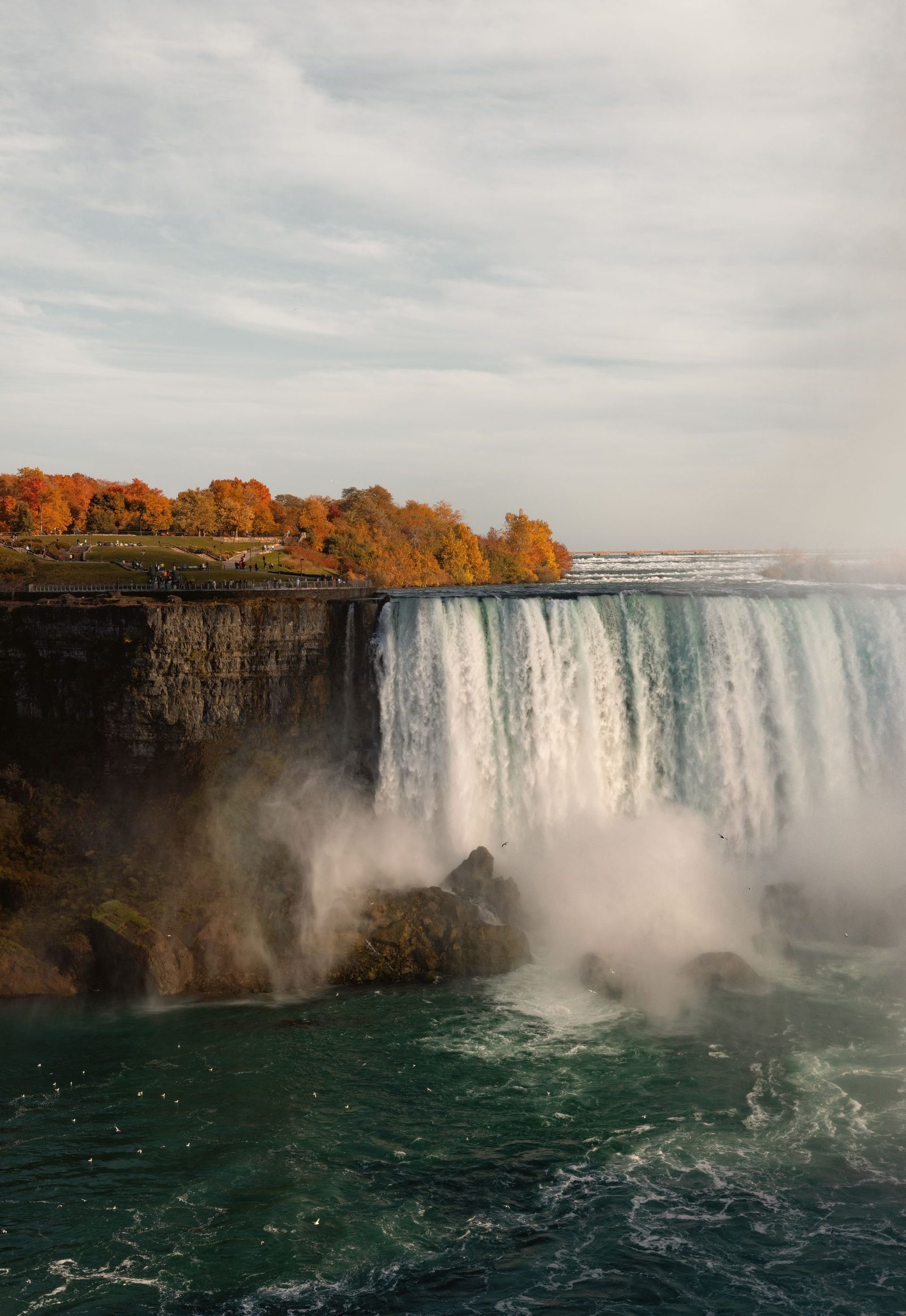 Financial planning and wealth management services in Milton, Ontario