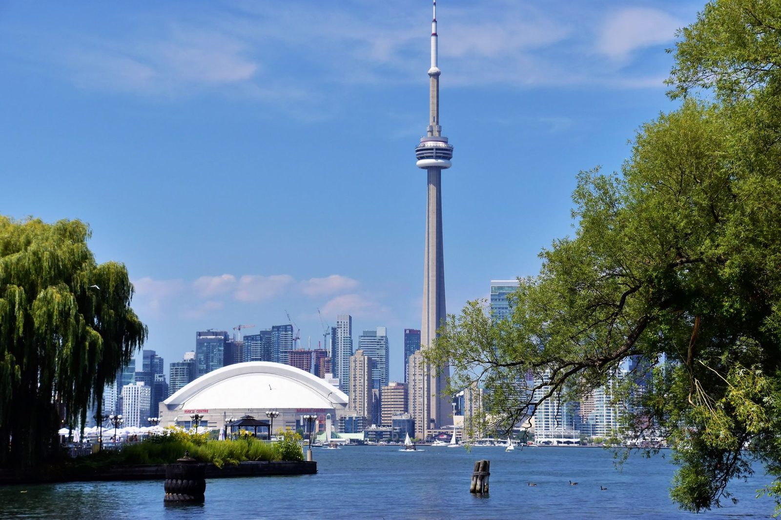 Financial planning and wealth management services in Kingston, Ontario