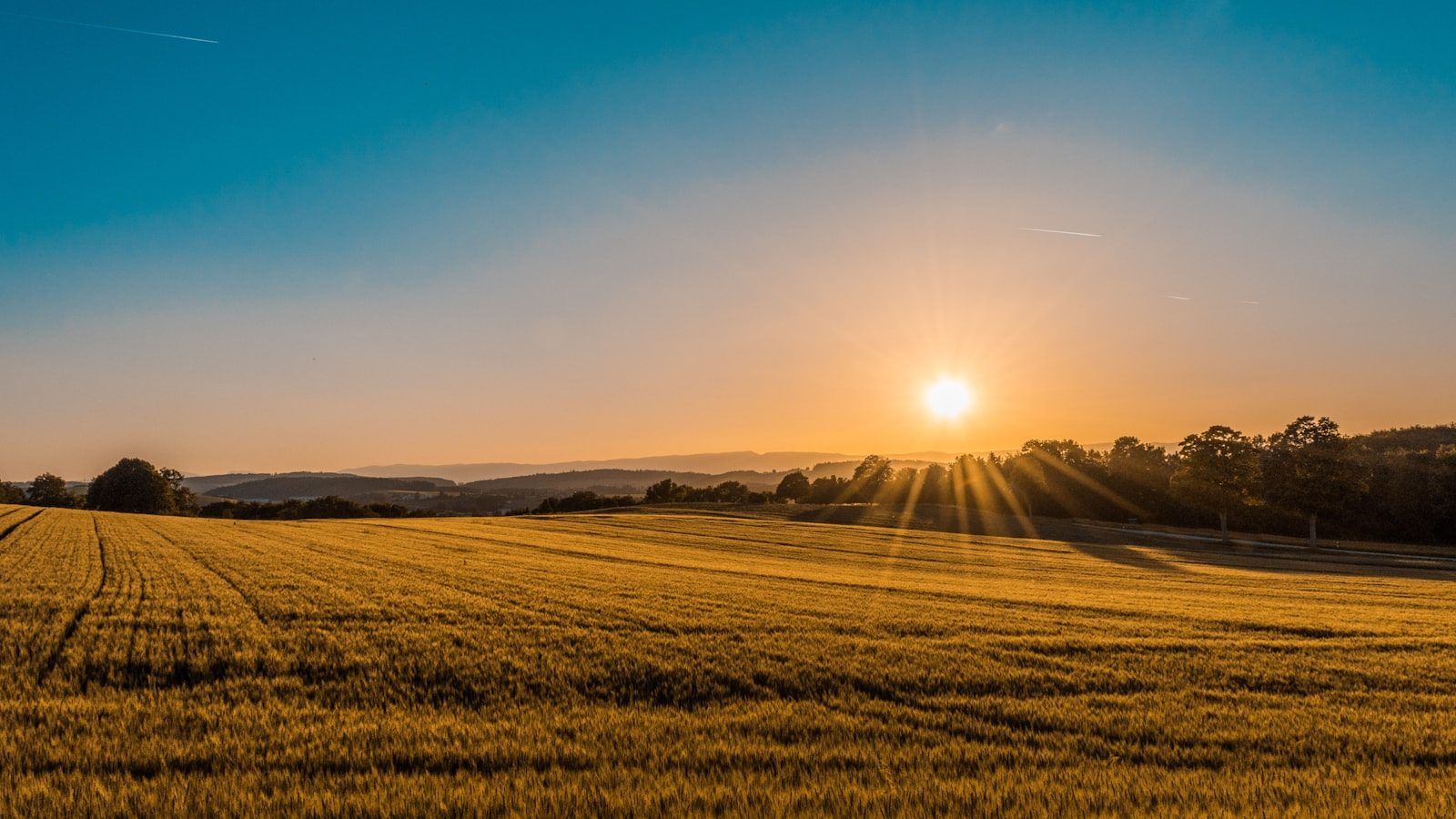 Prairies (SK & MB)