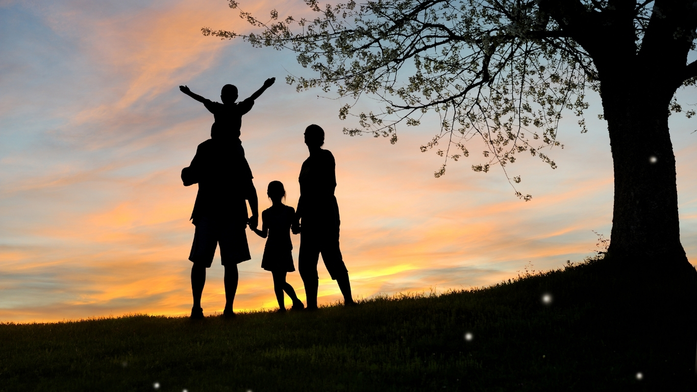 Professional reviewing estate planning documents and will