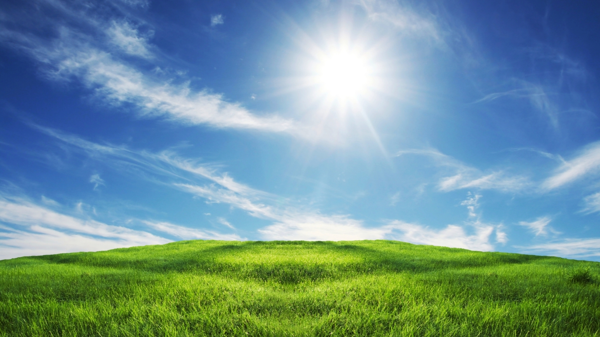 Green field under sunny sky representing growth and prosperity