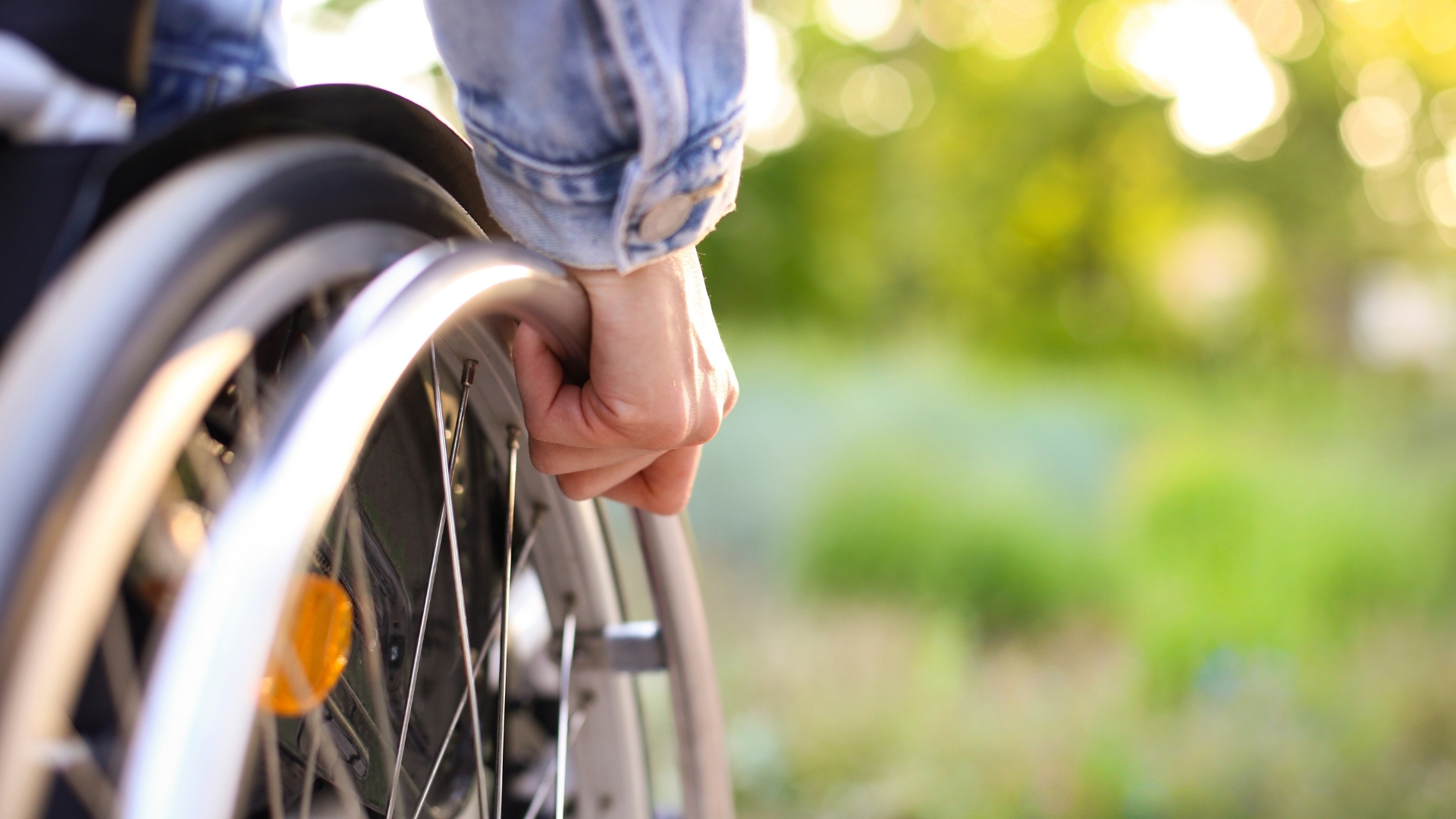 Disability & Income Protection