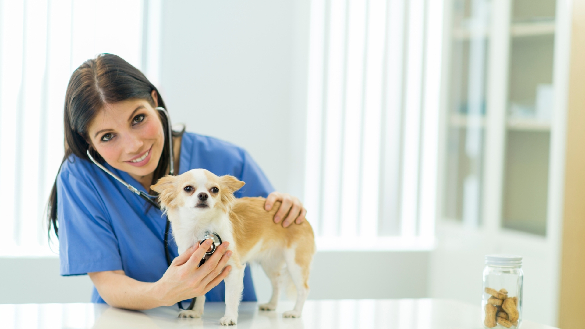 Female Veterinarians