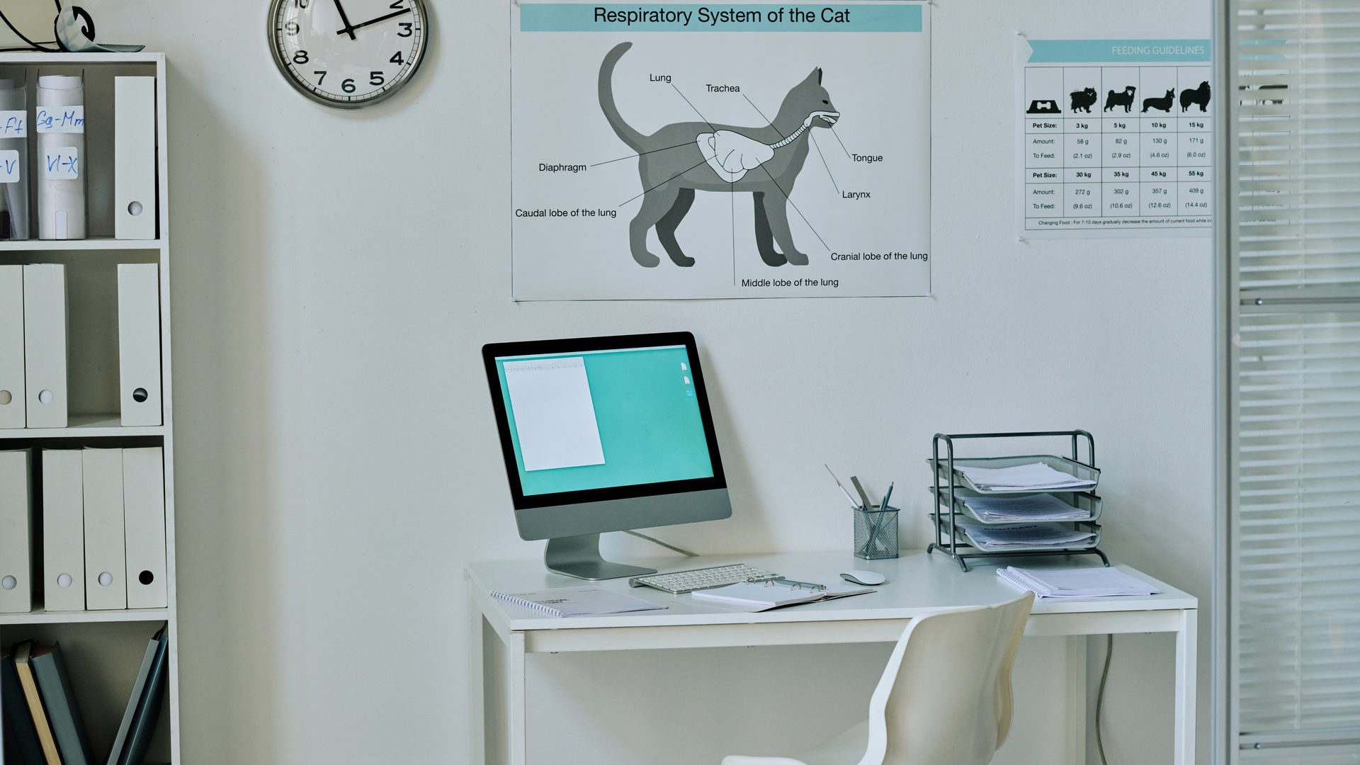 Valuing a Veterinary Clinic Before Purchase or Sale