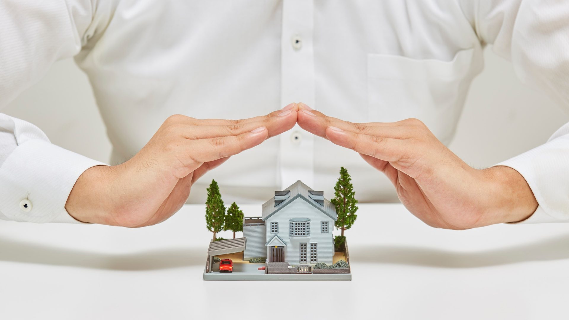 Creditor Protection Strategies for Veterinarians