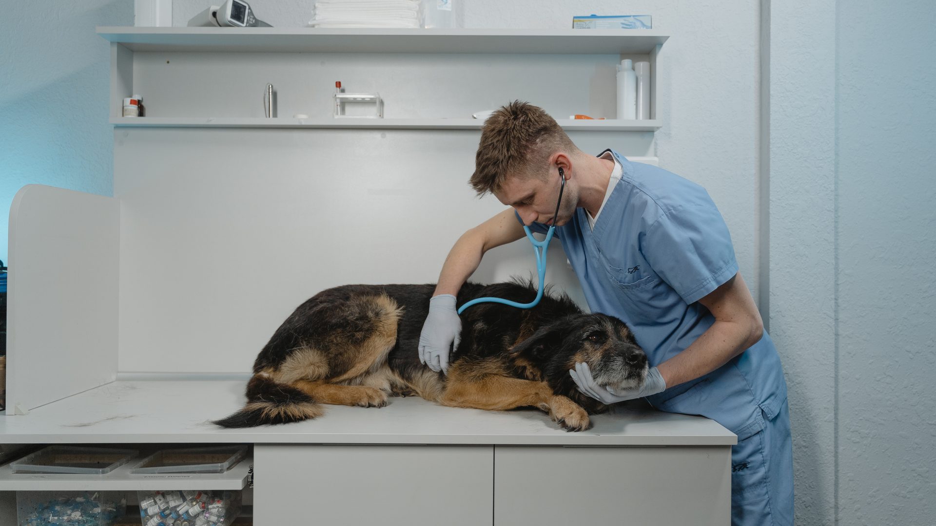 Emergency Veterinary Practice Financial Planning in Canada