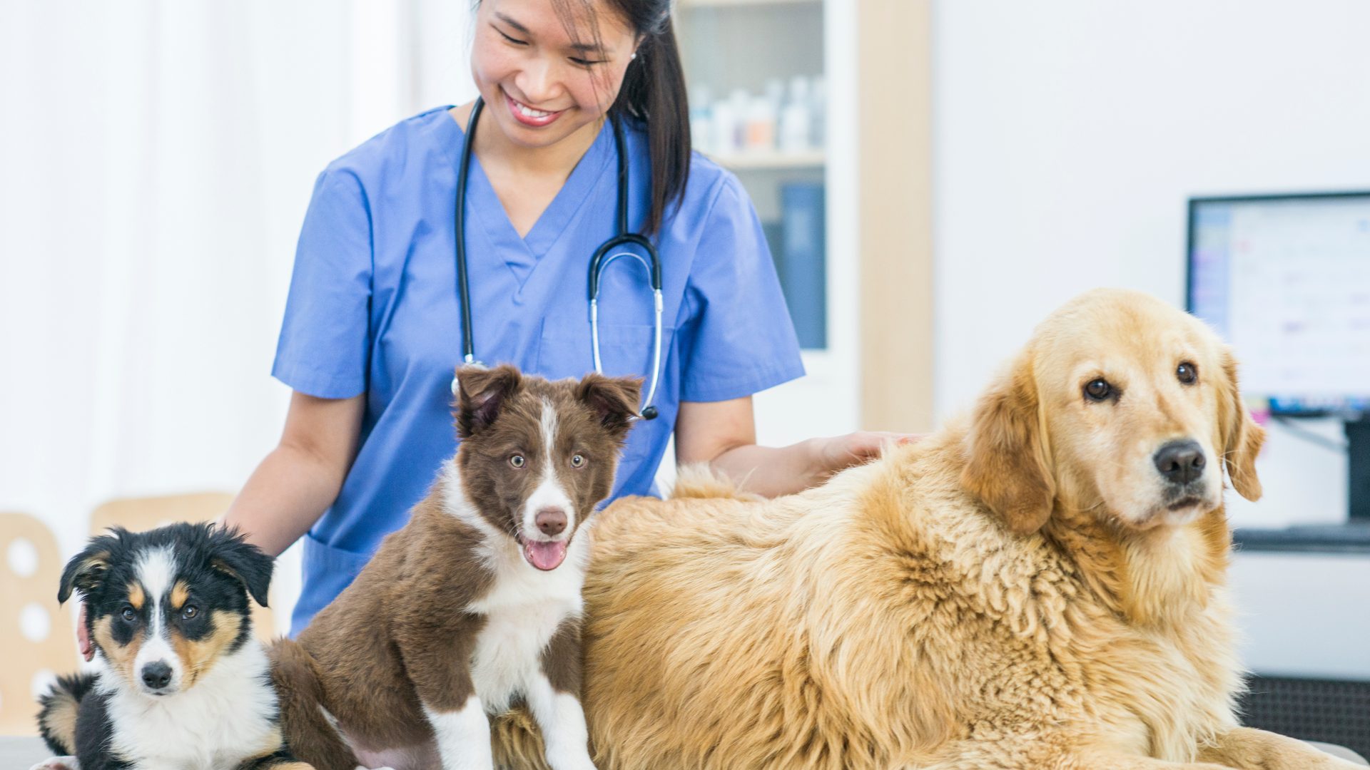 First Year Vet Financial Planning
