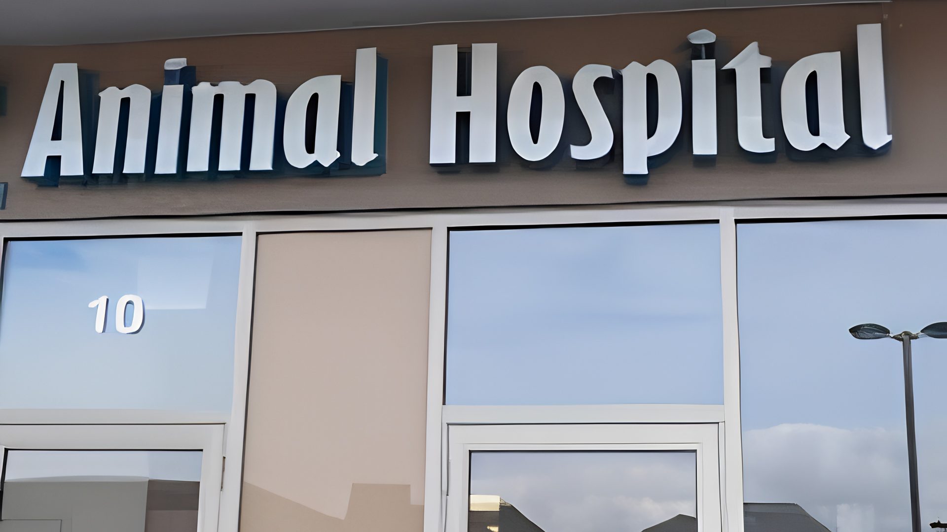 Incorporating a Vet Clinic in Canada