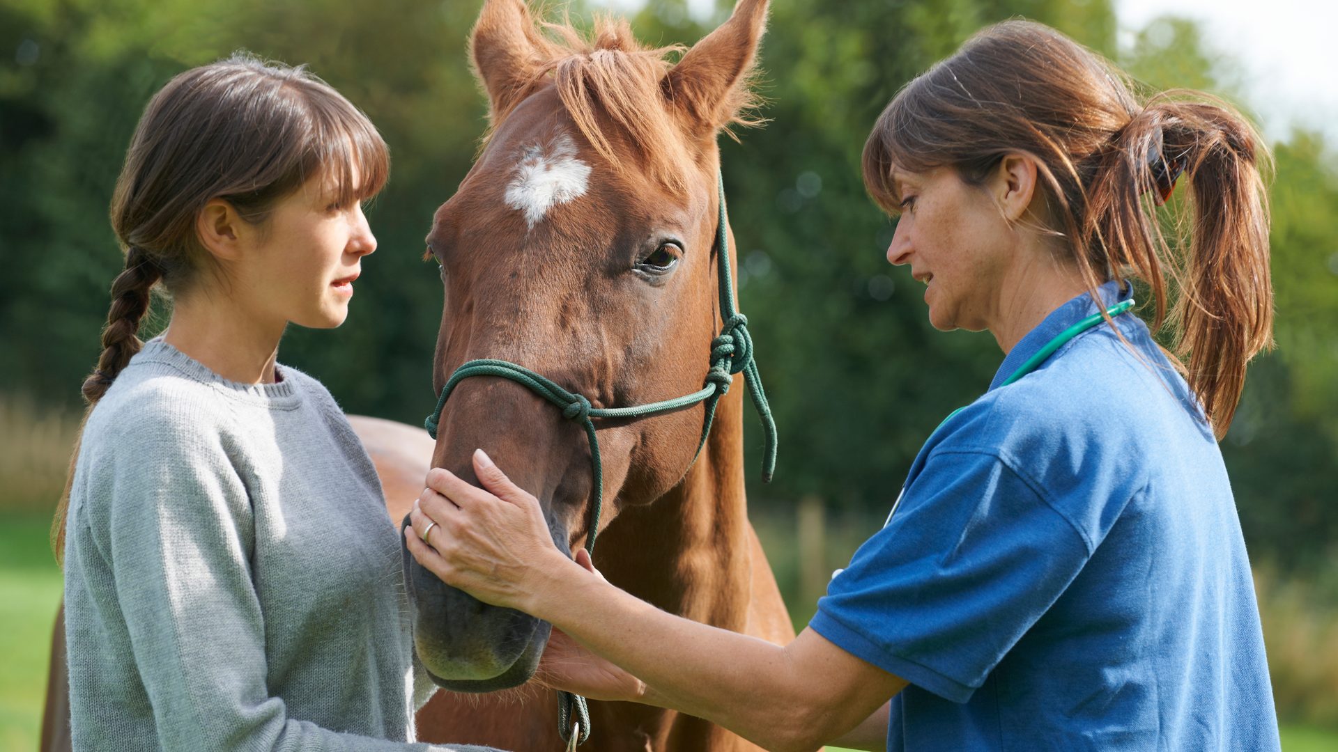 Mixed Animal Practice Financial Planning