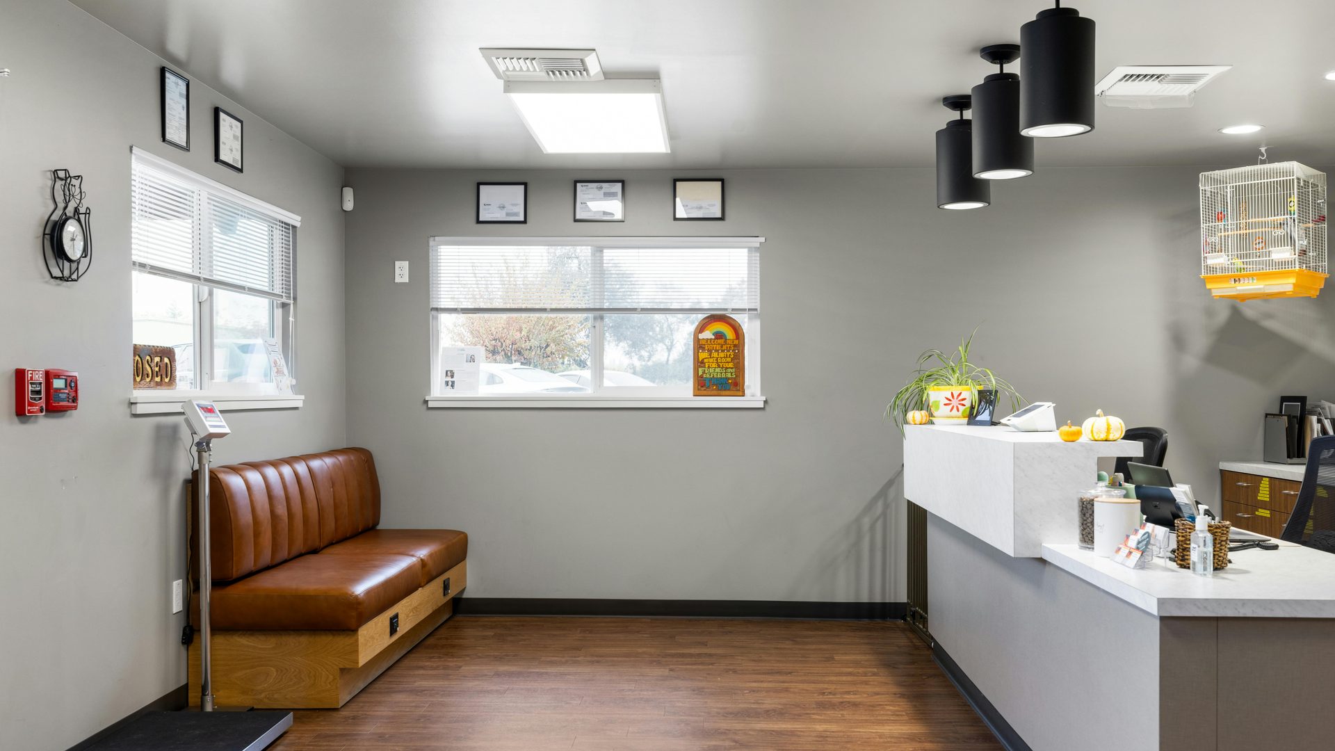 Overhead Expense Insurance for Veterinary Clinics in Canada