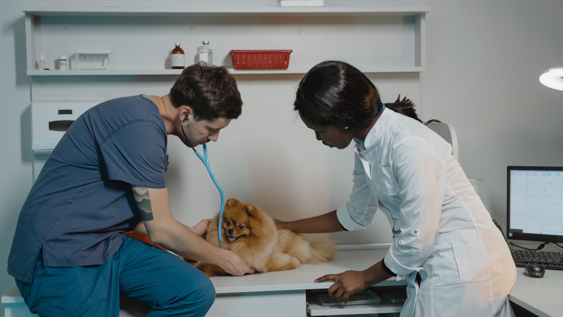 Vet Clinic Partnership Structures