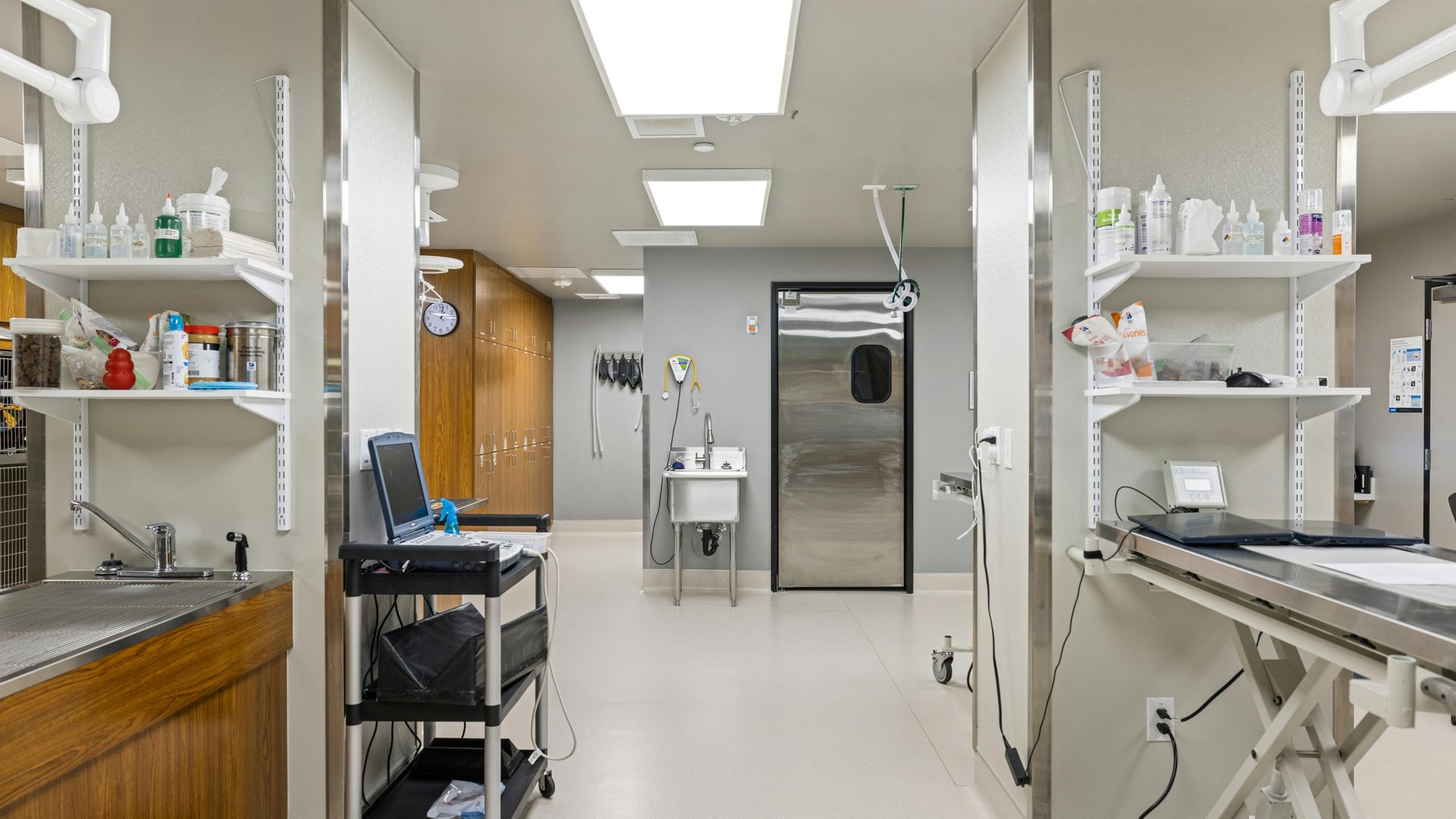 Selling a Veterinary Practice in Canada