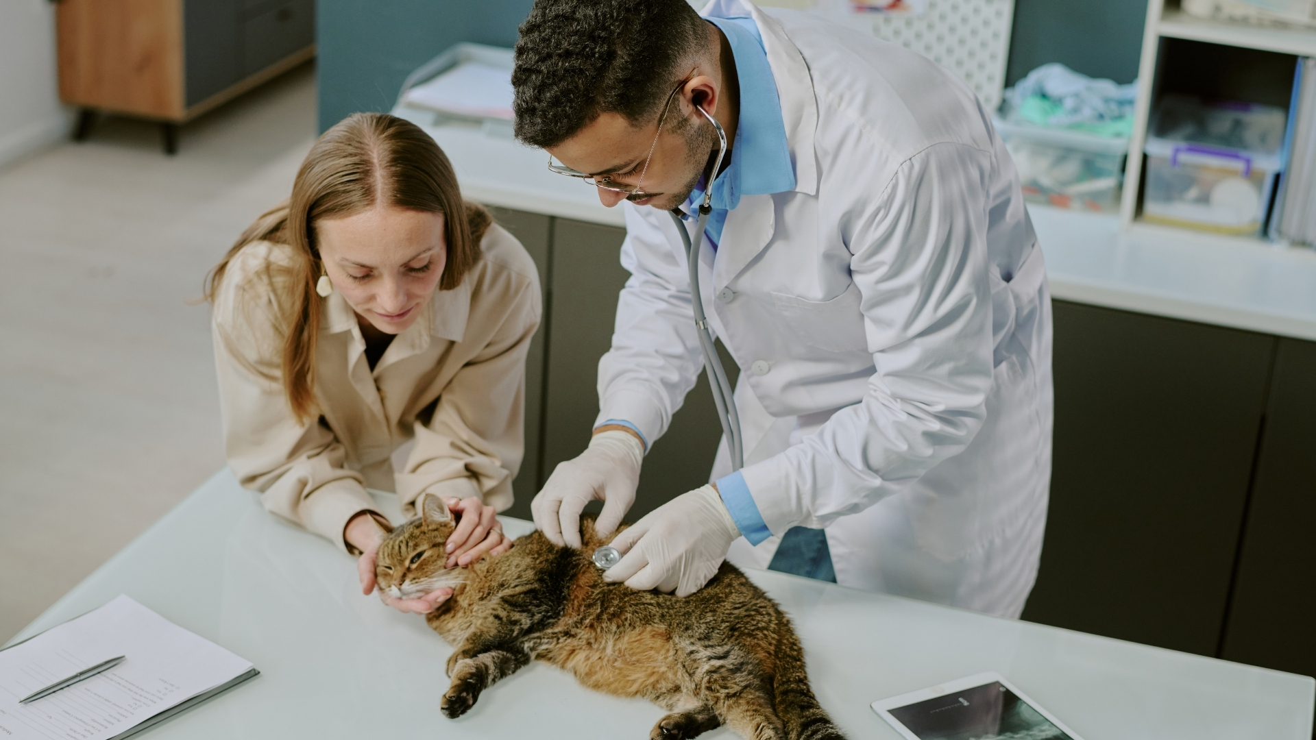 Setting Up Your Clinic