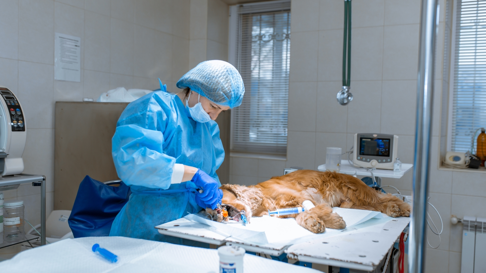 Specialty Services